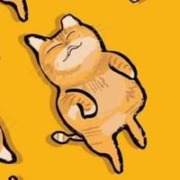 高市113國中小初評團隊