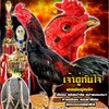ซุ้มไก่ชน ไอด้า เชียงราย