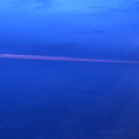 ノルウェージャンが好き