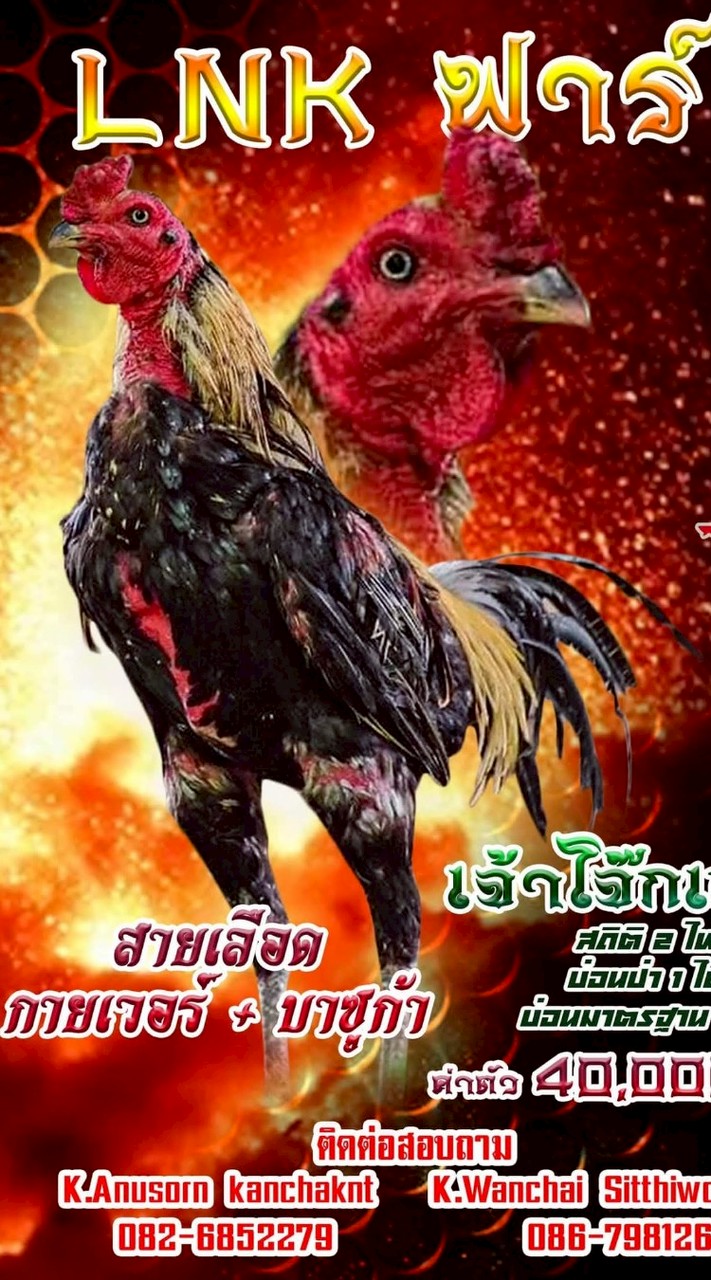 อ.กัญญาวีย์ ฟาร์ม