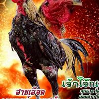 อ.กัญญาวีย์ ฟาร์ม