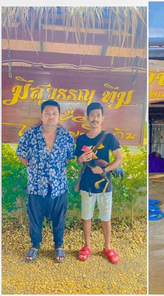 ส.มีสุวรรณ+เพชรกำไล -ขุนเพชรฟาร์ม-