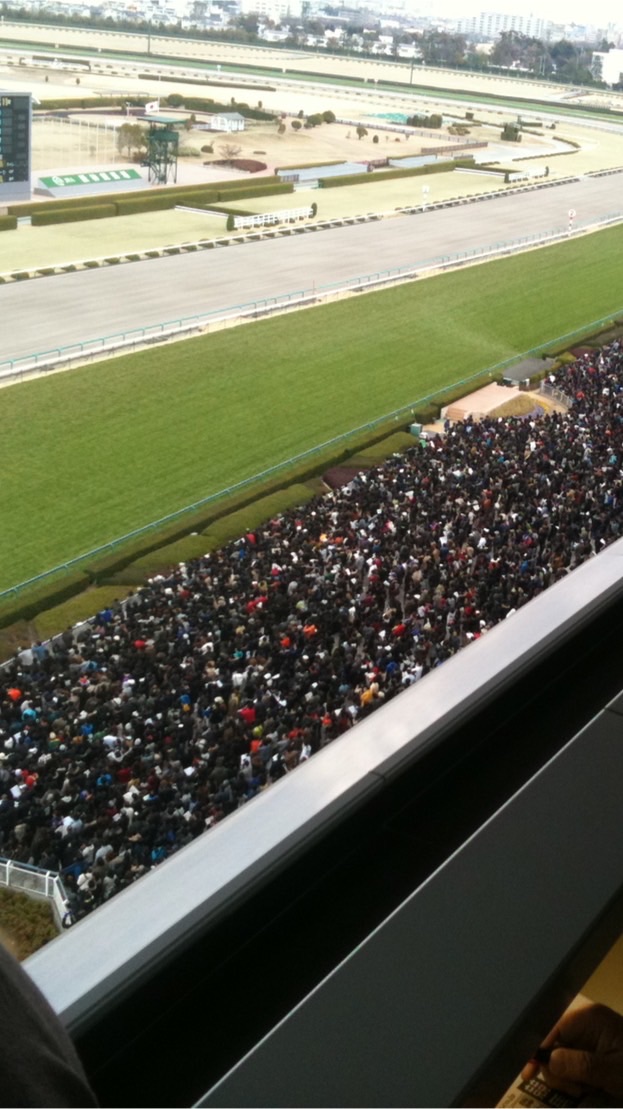 ロスインゴベルナブレス・デ・競馬