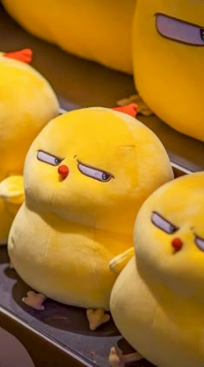 学生さぁぁぁぁぁぁぁん集合！