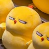 学生さぁぁぁぁぁぁぁん集合！