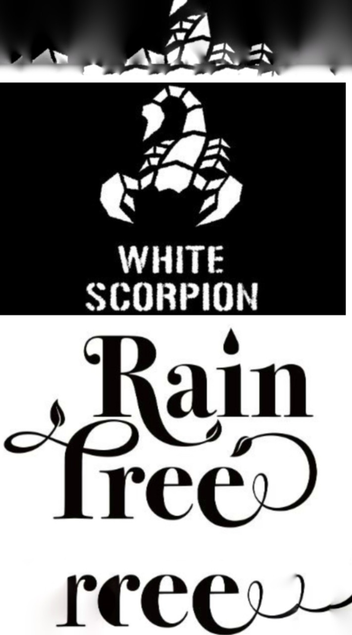WHITE SCORPION&RainTreeファンの集い