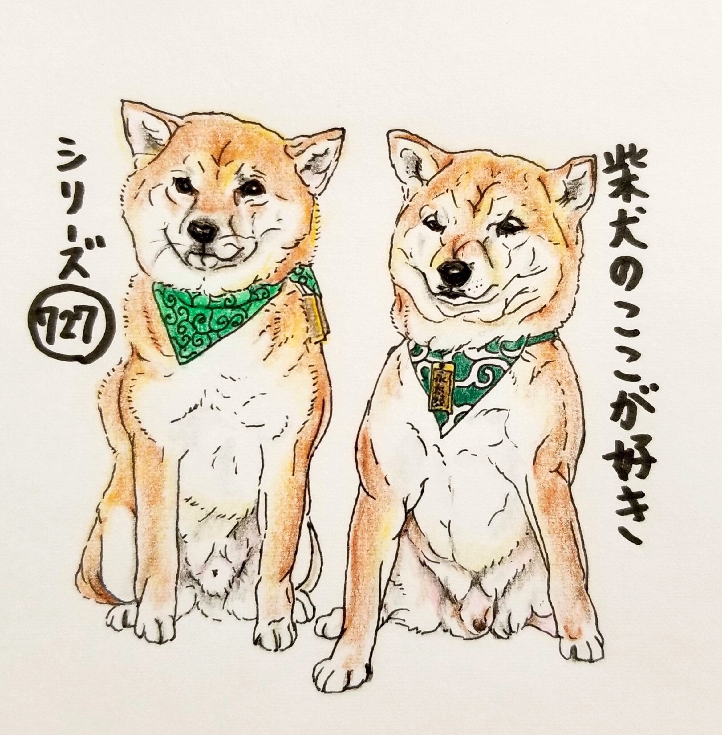 柴犬あるある 先輩犬の前では後輩犬は緊張気味になるとこ 連載 ここ掘れここ柴 Vol 127 いぬのきもちnews