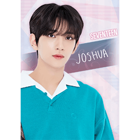 Seventeen Themes2 Joshua Line Theme Line Store