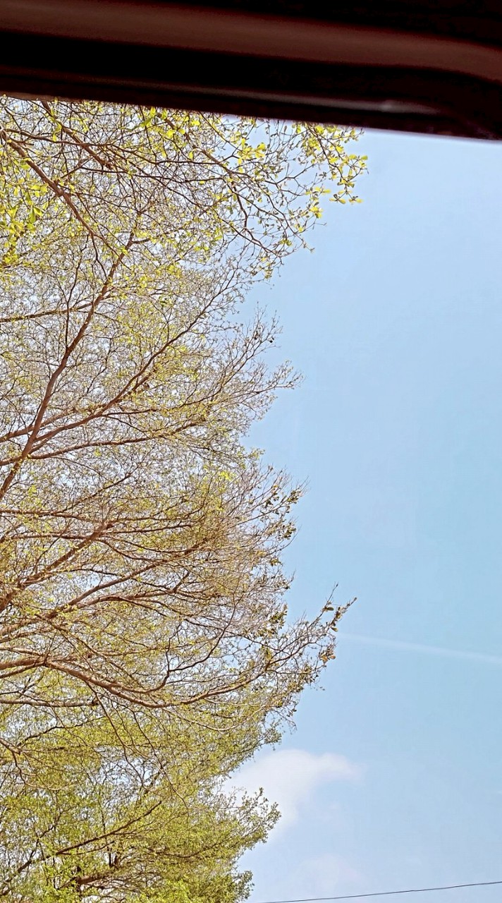 水林鄉調解會案件申請