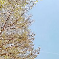 水林鄉調解會案件申請