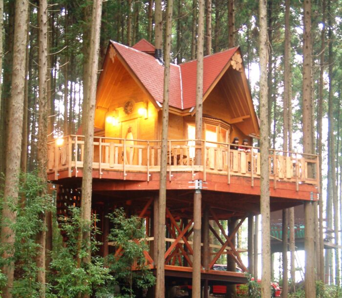 樹屋_Santa Hills_Emile