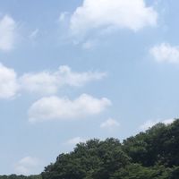 東京都  登校選択制  オンライン授業