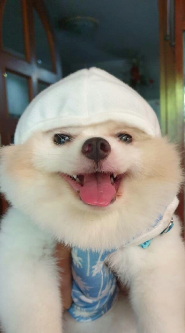 Shiro
