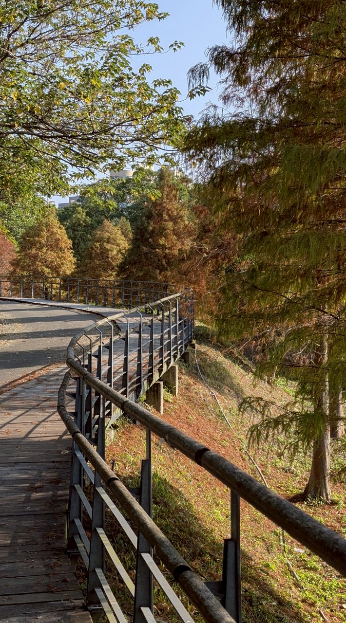 攝影社（交通大學台北校友會）