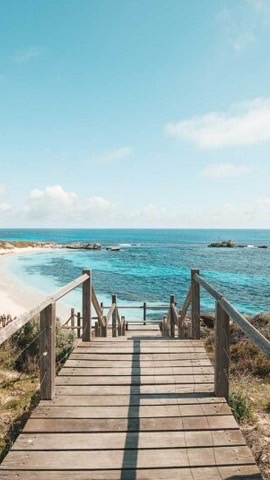 🌿 西澳 Perth 享受生活互相交流 ⛺️
