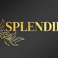Vip Splendid