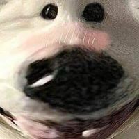 ᴄᴏᴅᴇ & ʟɪɴκ ʙʏ.ᴘᴜᴛᴄʜᴀ