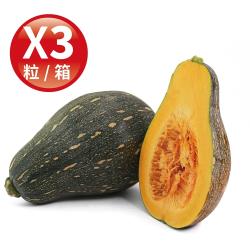 Global Fresh-力信國際 香甜肉厚木瓜形阿成南瓜 (800g/粒，3粒/箱)
