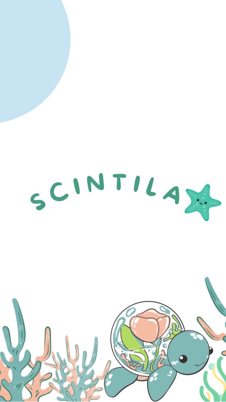 Scintila