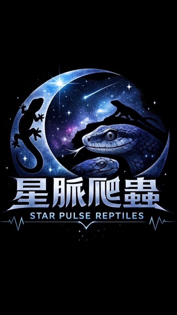 星脈爬蟲競標群