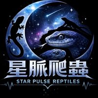 星脈爬蟲競標群