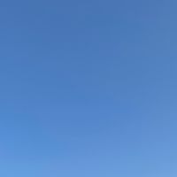 歌ってみたを送るところ