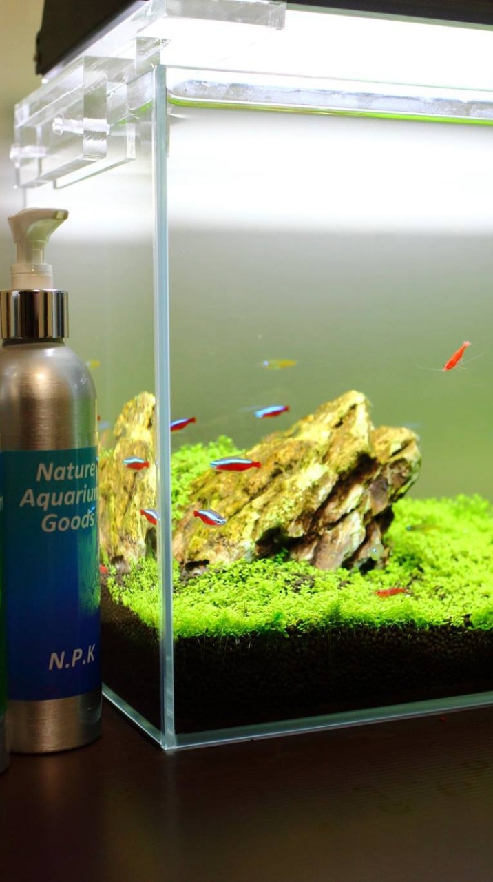 水族新品二手交流