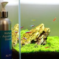 水族新品二手交流