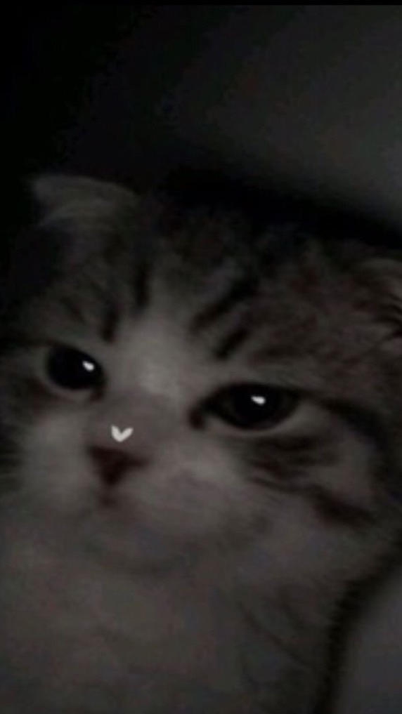 少人数オププ