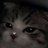 少人数オププ