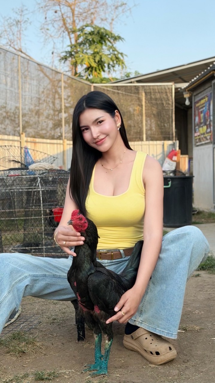 ก้านคอ CLUB (ไก่ชน)