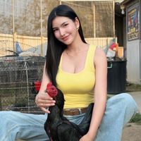 ก้านคอ CLUB (ไก่ชน)