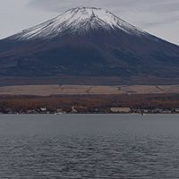 婆の会