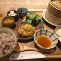 実際訪問したユーザーが直接撮影して投稿した戎島町和食 / 日本料理膳や ムシベジプラス 堺プラットプラット店の写真
