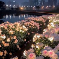 處關係/搞抽象/拿圖/宣群/聊天