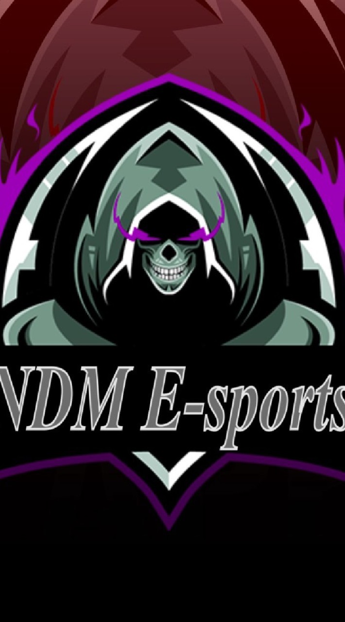 NightDemon E-sports