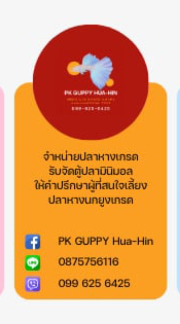PK Guppy HuaHin