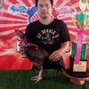ก้องเกียรติ ฟาร์มอ่างทอง พัฒนาไก่ชนสายพันธ์ โกเซ็มฟาร์ม🐓🐓