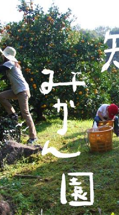 みかん狩りBBQ 20191109