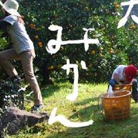 みかん狩りBBQ 20191109