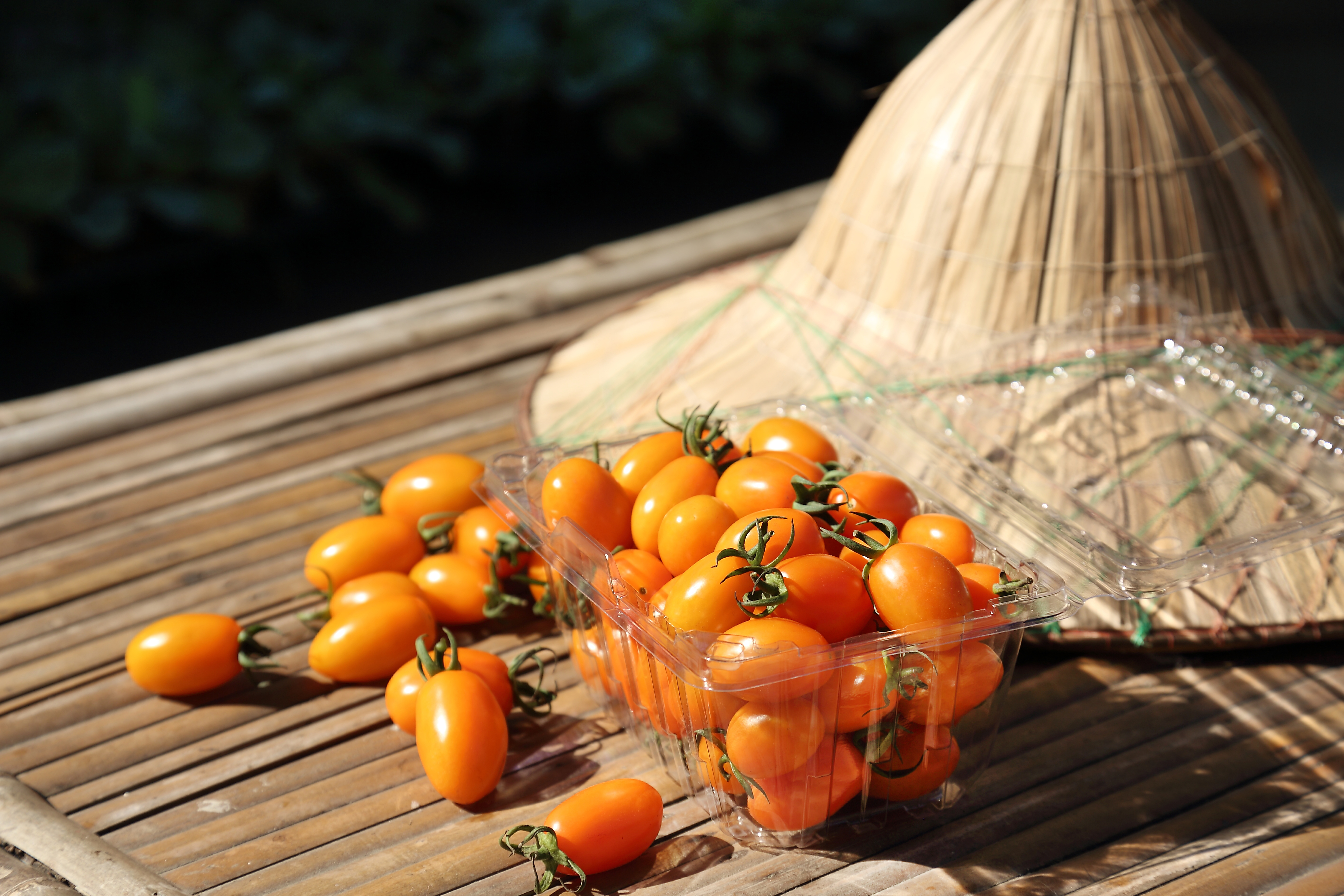 一串串飽滿欲滴的橙蜜香番茄，又新鮮又香甜。(攝影/Carter)