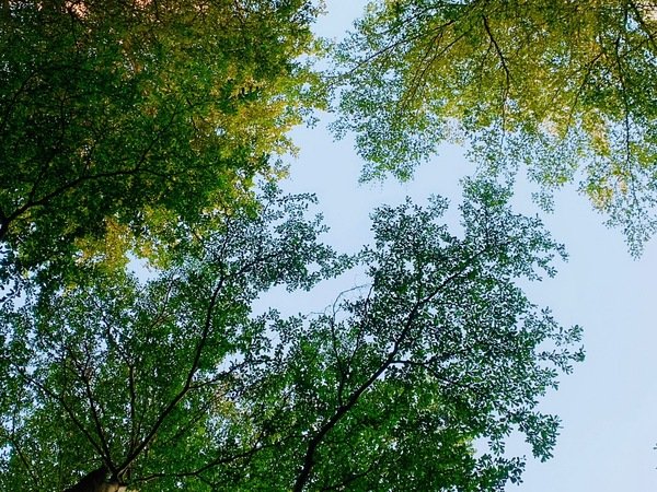 倪倪愛旅遊－『台中購物商圈推薦』台中在地人後花園小歐洲，綠意盎然異國購物散策－台中市大隆路商圈日韓、歐美私貨精品挖寶直擊分享