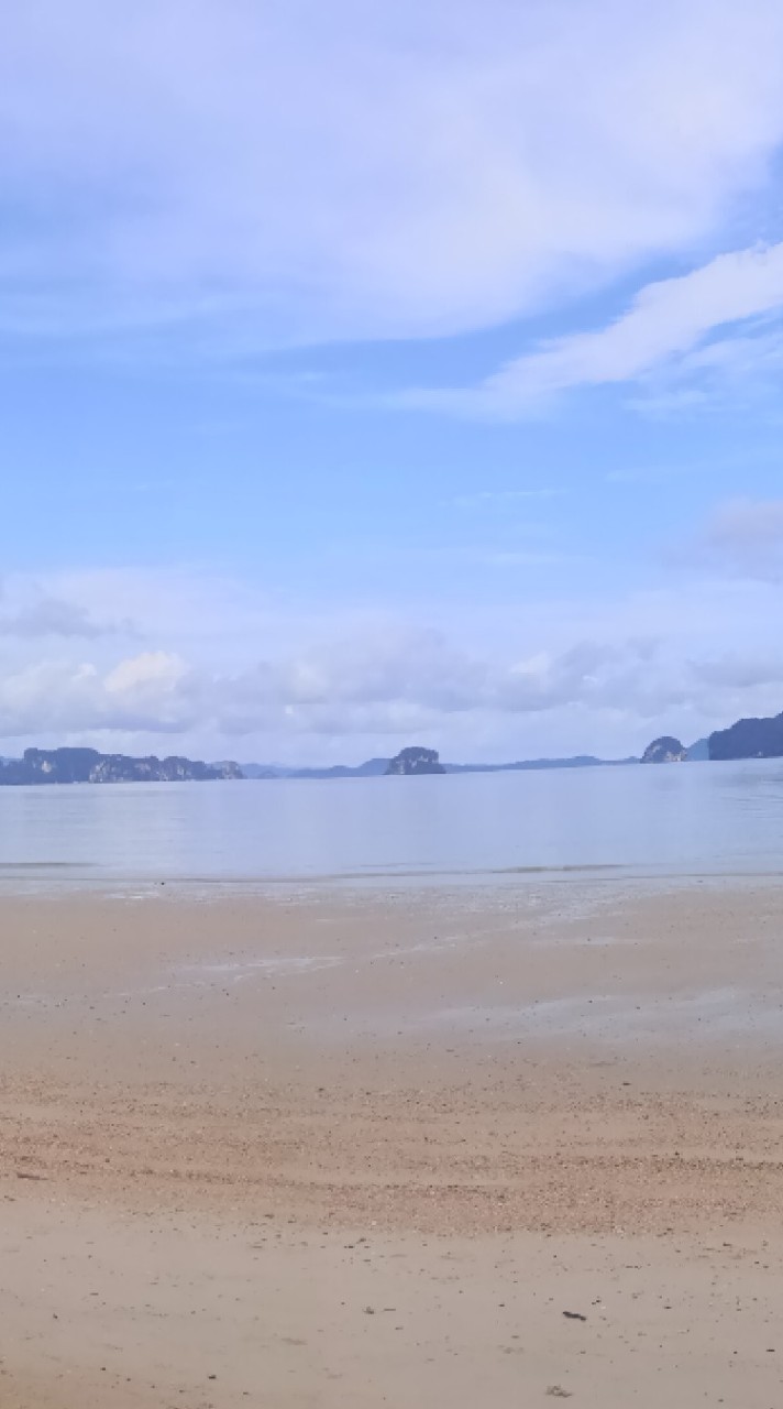 สะสมแบงค์-เหรียญ-ของเก่าโบราณ