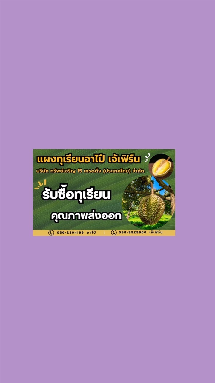 เเผงทุเรียนอาไป๋ เจ้เฟิร์น หลังสวน จันทบุรี