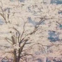 スリジエ帝華大（ブラックペアン、その他）