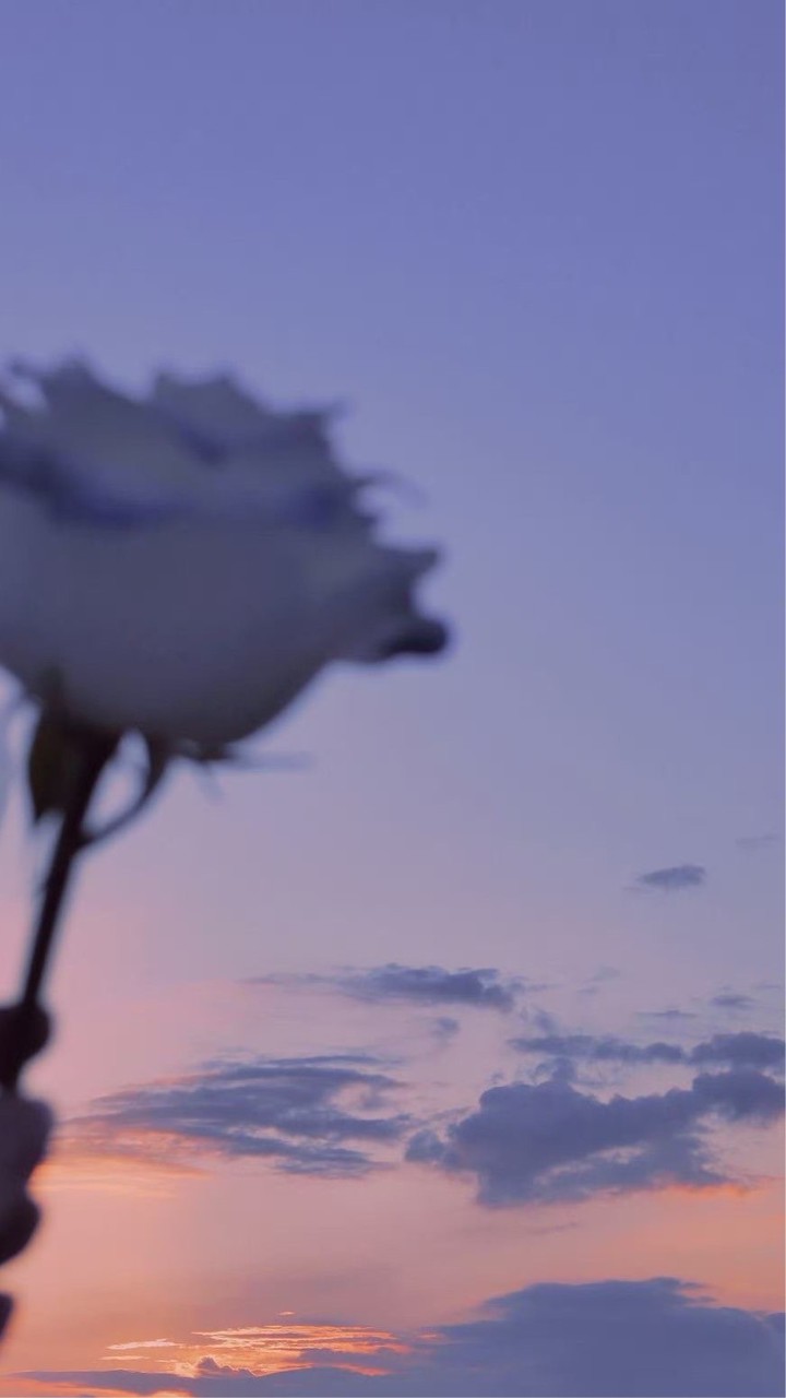 ✧　春雷　⌒　属性 ハッピーセット 全也ハント　❕