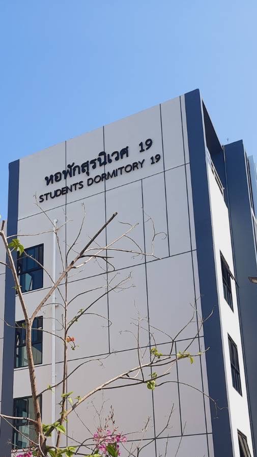 Suranivet19