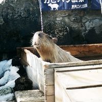 写真技術研究部　新歓グループ