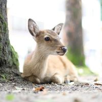 カメラ好きの集まり