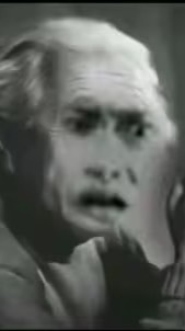 精神病院/動物園：聊天、對戲、玩梗、發瘋